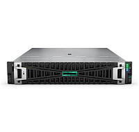 HPE PL DL385g11 AMD EPYC 9115 (2.6/16C) 2x32G (P64985) MR408i-o 2x1000W 8SFF o2p10GT 7SF Smart Choice