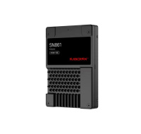 SanDisk Carrera Syndicate SSD 3.84TB DC, SN861, PCIe Gen5, (R:13700, W:7200MB/s), BICS6 TLC NVMe U.2, SE,Generic