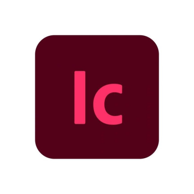 InCopy for teams MP ML (+CZ) Government 1 User, 12 Months, Level 4, 100+ Lic