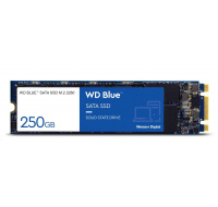 WD BLUE SSD 3D NAND WDS250G3B0B 250GB SA510 M.2 SATA, (R:555, W:440MB/s)