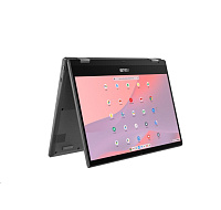 ASUS NTB Chromebook Flip CM1 (CM1402FM2A-EDU8128), MTk 520, 14" 1920 x 1080, 8GB, 128GB eMMC, MaliG52, Chrome EDU, Grey