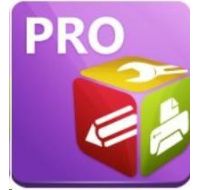 UGRADE PDF-XChange PRO 10 - 1 uživatel, 2 PC + Enhanced OCR/M1Y