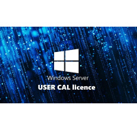 FUJITSU Windows 2025 - WINSVR CAL 5 User